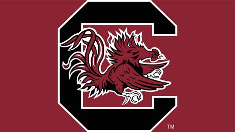 [100+] South Carolina Gamecocks Wallpapers | Wallpapers.com