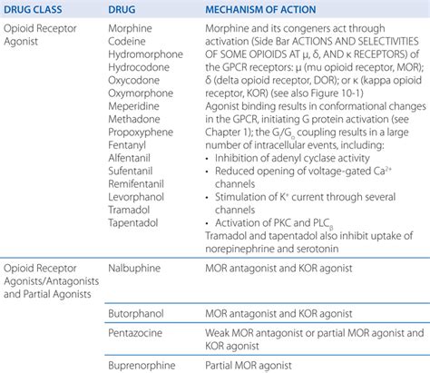 Opioid Pharmacology | Basicmedical Key