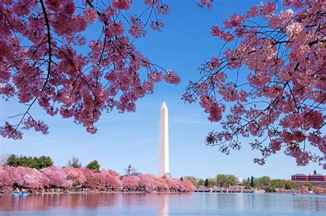 What to expect from the Washington Monument’s visitor center, elevator ...