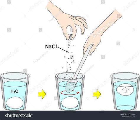 Density experiment with egg and salt water - Royalty Free Stock Vector ...