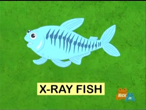 X-Ray Fish | Dora the Explorer Wiki | Fandom