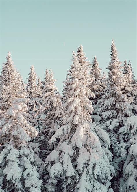 Photo via @jessolm | Winter scenes, Scenery, Winter photography