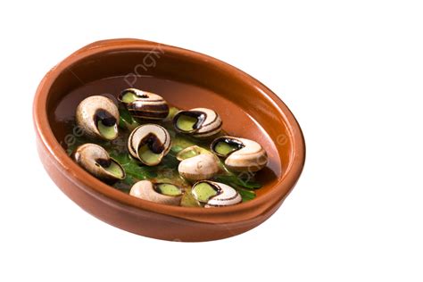 Escargots De Bourgogne PNG, Vector, PSD, and Clipart With Transparent Background for Free ...