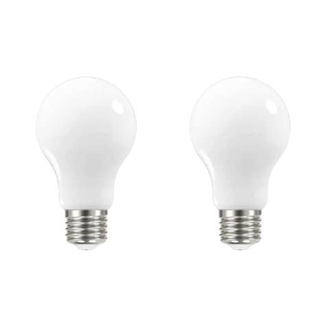 LED A19 Bulb 2 Pack