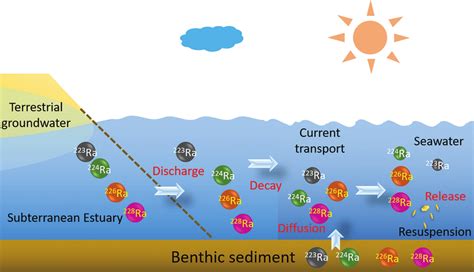 Distribution of four radium isotopes in the terrestrial... | Download ...