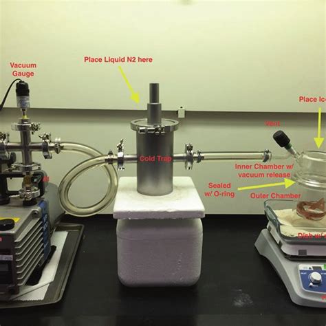 Schematic of liquid nitrogen vapor freezing. (a) Diagram indicating ...