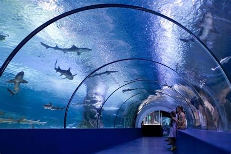 Osaka Aquarium Kaiyukan (MY) - Travel Recommends