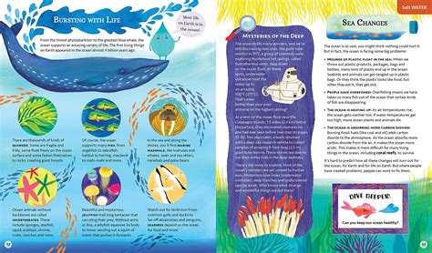 Water: A Deep Dive of Discovery Book – Mancuso Science