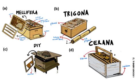 Hive types - SAMSwiki