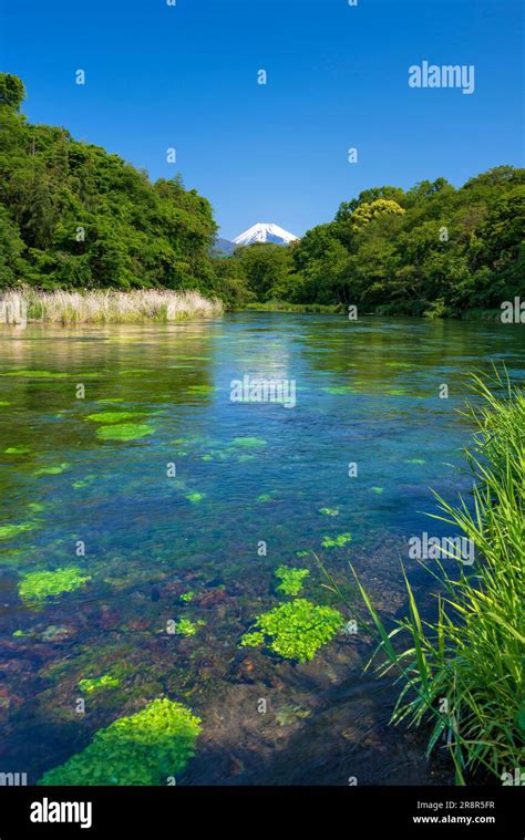 Mount fuji japan may hi-res stock photography and images - Alamy