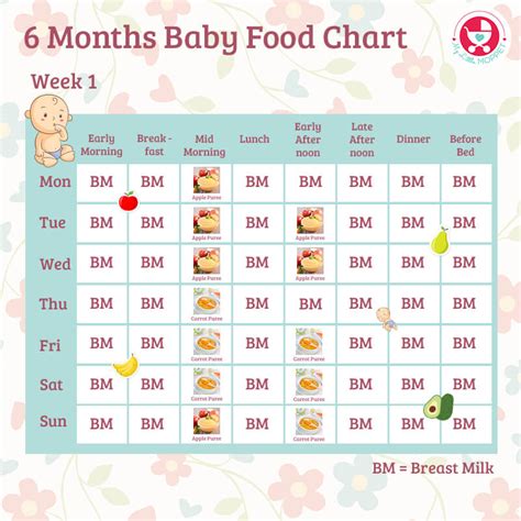 6 Months Baby Food Chart - with Indian Recipes