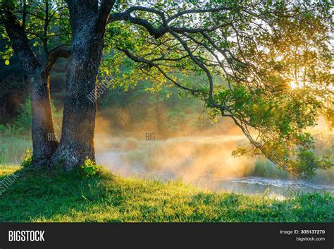 Spring Nature Scene. Image & Photo (Free Trial) | Bigstock