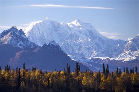 Denali National Park and Preserve: The Complete Guide