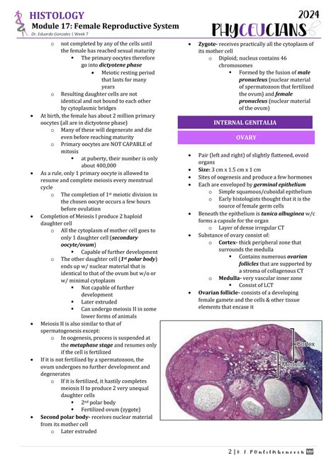 SOLUTION: Histology female reproductive system - Studypool