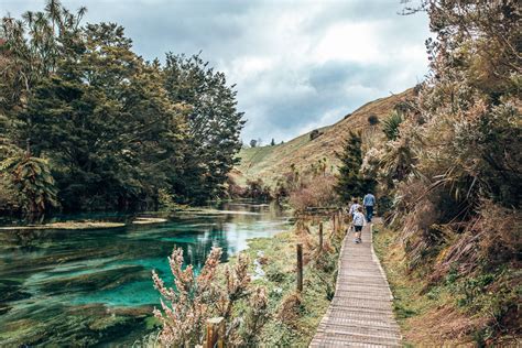 Te Waihou Walkway (Blue Springs) | Putaruru, NZ - Let's Be Explorers