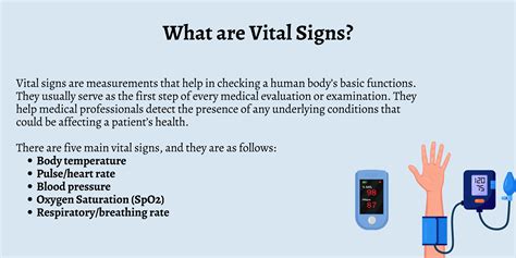 Vital Signs Chart Normal Ranges