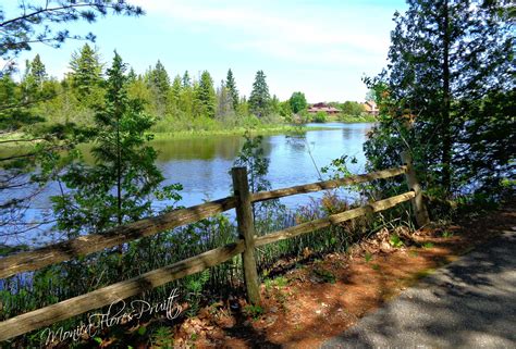 Nature Walk on the Thunder Bay River nature trails June 2015 | Nature ...