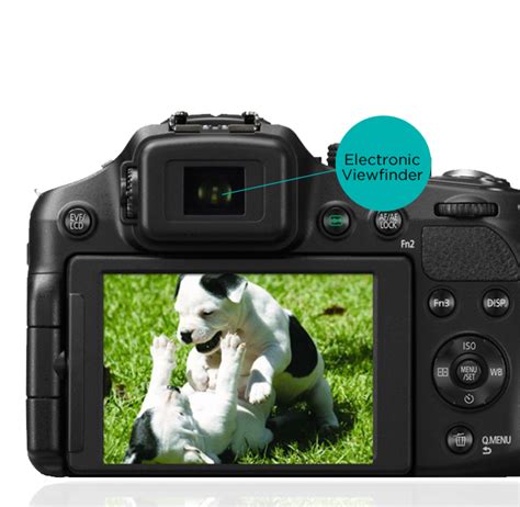 Digital Bridge Camera Guide| PC World