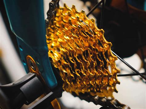 Why are chainrings important? | CAMP BICYCLE by MOBOT