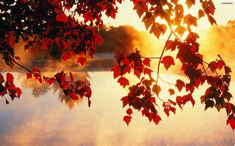 Download Breathe In The Colorful Splendor Of Autumn Wallpaper ...