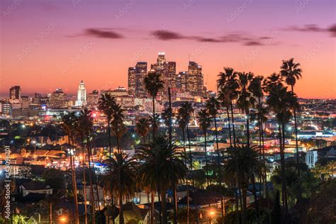 Beautiful sunset of Los Angeles downtown skyline and palm trees in foreground Stock Photo ...