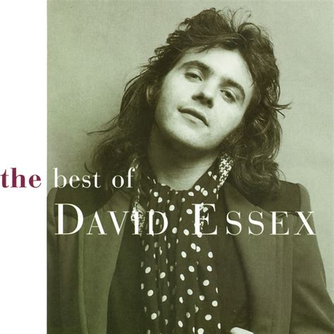 Best Of Album by David Essex | Lyreka