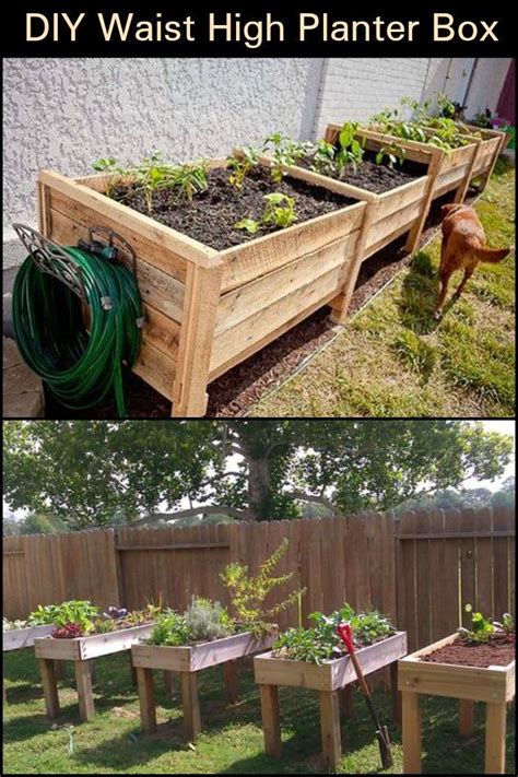 Add this inexpensive waist high planter box to your garden! Vegetable ...