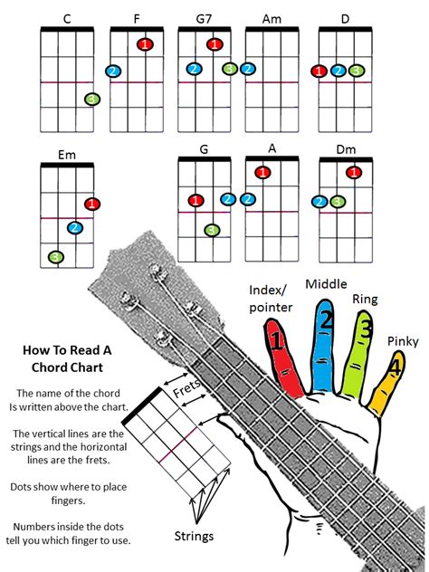 Pin by Lina Kohail on Learning ukulele | Ukulele songs, Ukulele chords ...