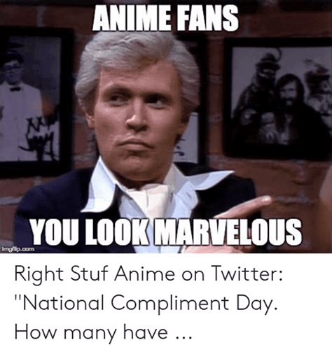 Anime Fans Meme You Look Marvelous Fernando Lamas GIF | GIFDB.com