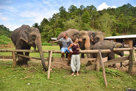 Things You Need Know To Find Elephant Sanctuary In Chiang Ma