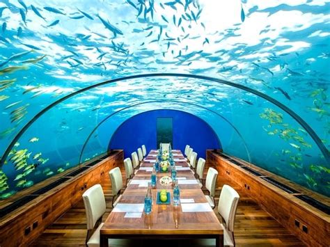 5 Underwater Restaurants In Maldives You Can’t Afford To Miss