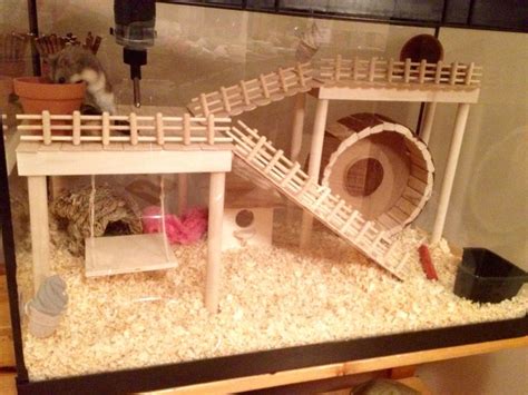 Top 10 Cages for Hamster – Hamsters Portal