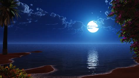 Download wallpaper 3840x2400 tropical beach, coast, full moon, night, sky, scenery, digital art ...