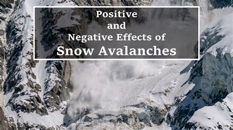 Effects of Snow Avalanches: Positive, Negative, Examples - Yo Nature