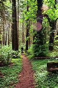 Category:North Umpqua River Trail - Wikimedia Commons