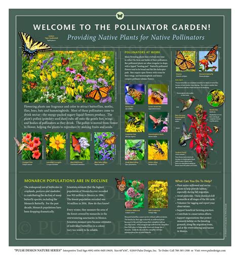 Outdoor Interpretive Signs Pollinator Garden Insects Monarch Butterfly Bee Native Flower Plant ...