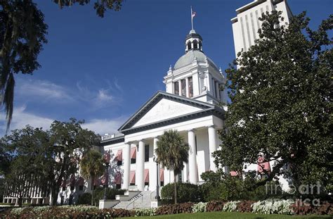 Florida Capital Building Photograph by Ules Barnwell