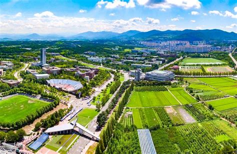 Yeungnam University KLI study korean language in Daegu