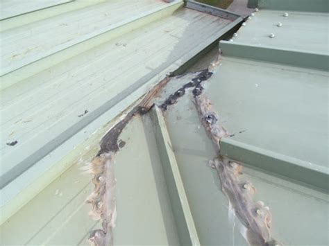 Metal Roofing: Dead Valley Projects and Warranties