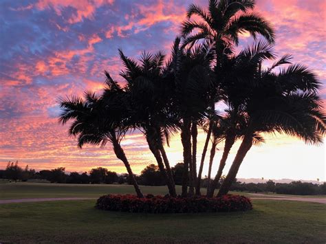 Indian Creek Country Club - Lancescape Miami