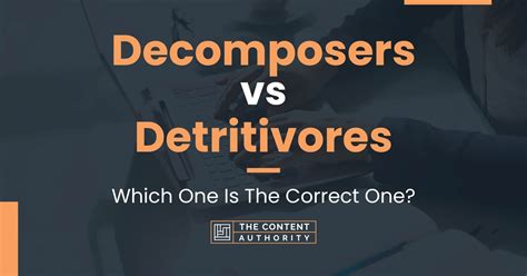 Decomposers vs Detritivores: Which One Is The Correct One?