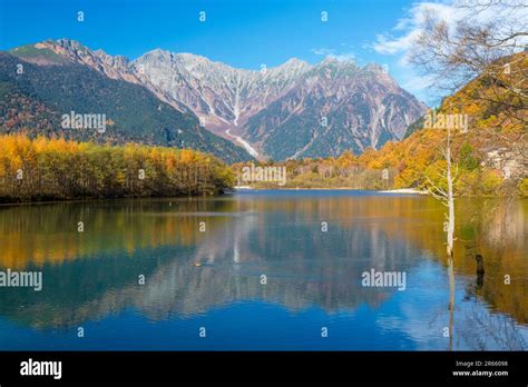 Autumn leaves at Taisho Pond Stock Photo - Alamy