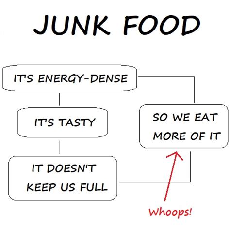 The Junk Food Weight Gain Cycle — Alistair Ramsay Fitness