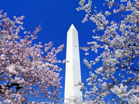 Washington DC Monuments wallpaper | 1600x1200 | #51237