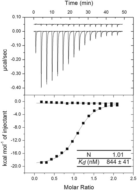 ITC determination of the binding thermodynamics of B/NP TAIL to... | Download Scientific Diagram