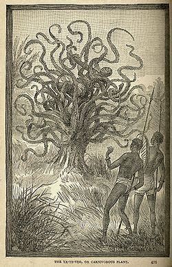 Man eating tree - Alchetron, The Free Social Encyclopedia