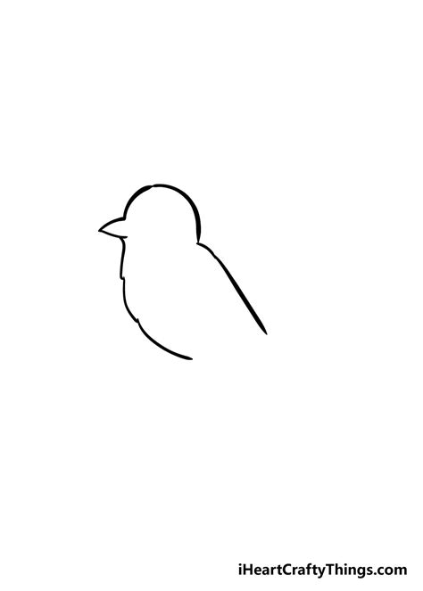 Bird Drawing - How To Draw A Bird Step By Step!