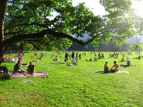 A glorious picnic season in Central Park | Monica Suma