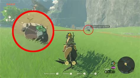 Hey, let’s talk about that Korok in the Tears of the Kingdom demonstration – Nintendo Wire