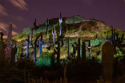 Desert Botanical Garden Scottsdale Arizona-1 | For Two, Please